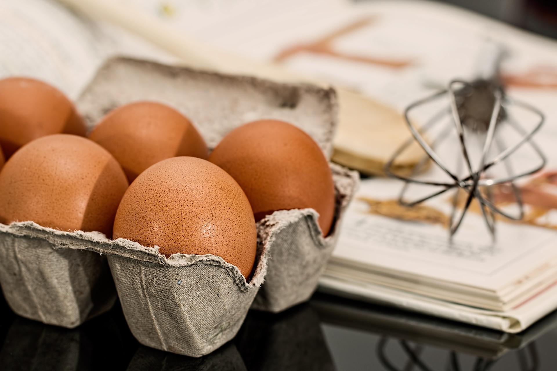 Jaja z mazur - Hurtownia świeżych jaj
